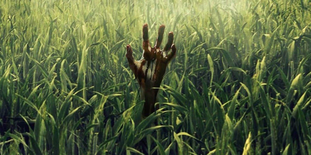 In The Tall Grass Review: A Mess Of A Horror Film